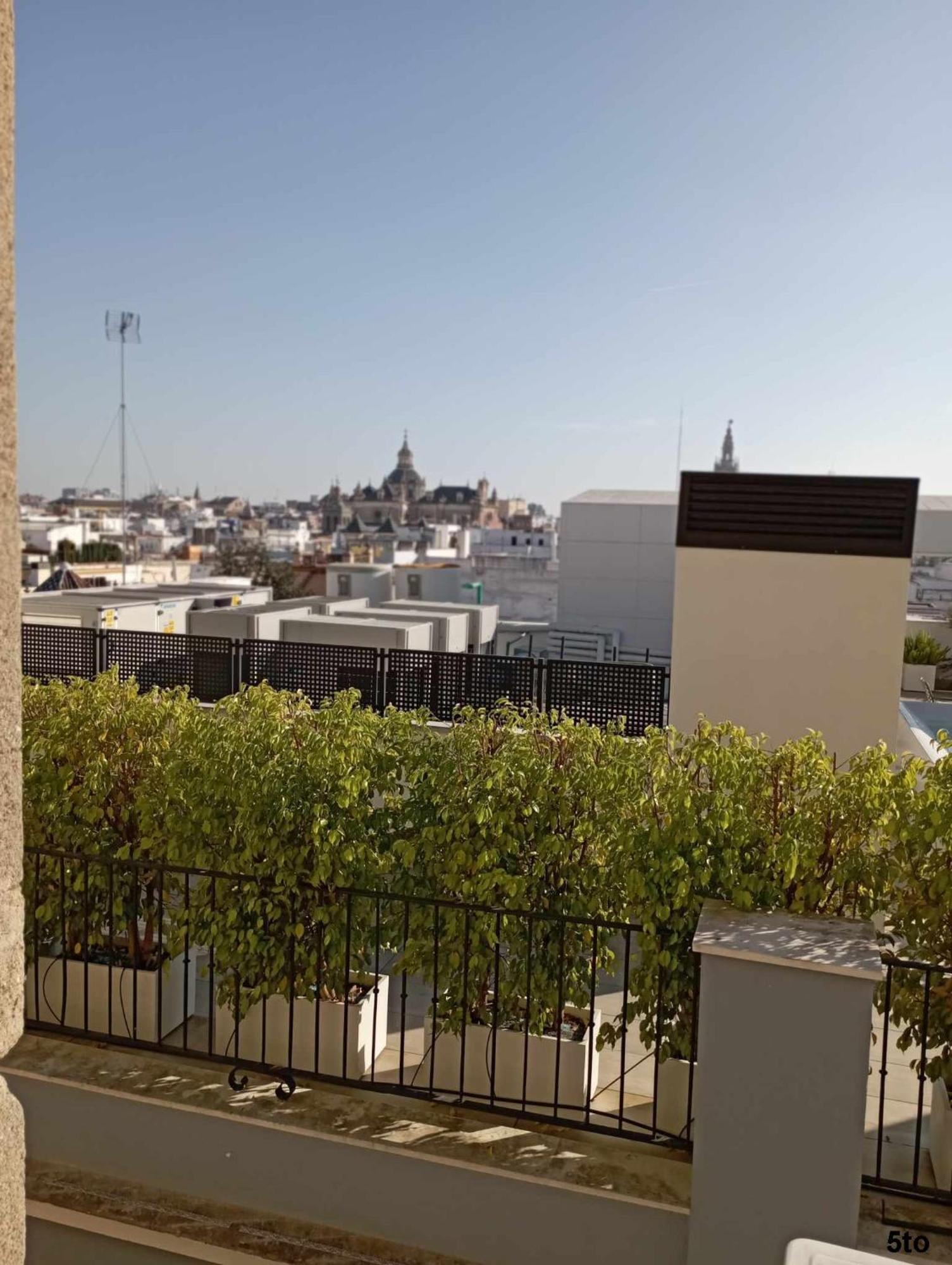 Siesta Andaluza Appartement Sevilla